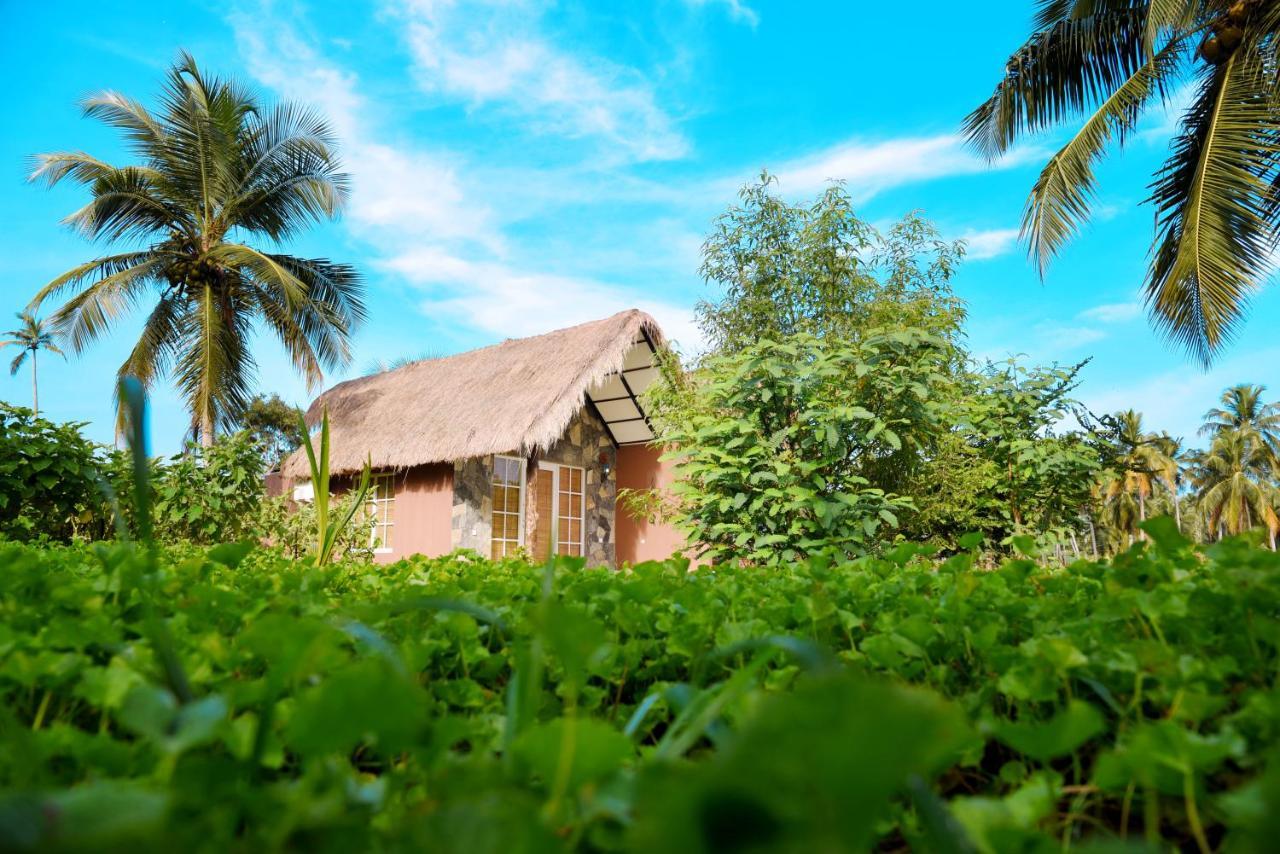 Coco Village Hotel Chilaw Bangadeniya Zewnętrze zdjęcie